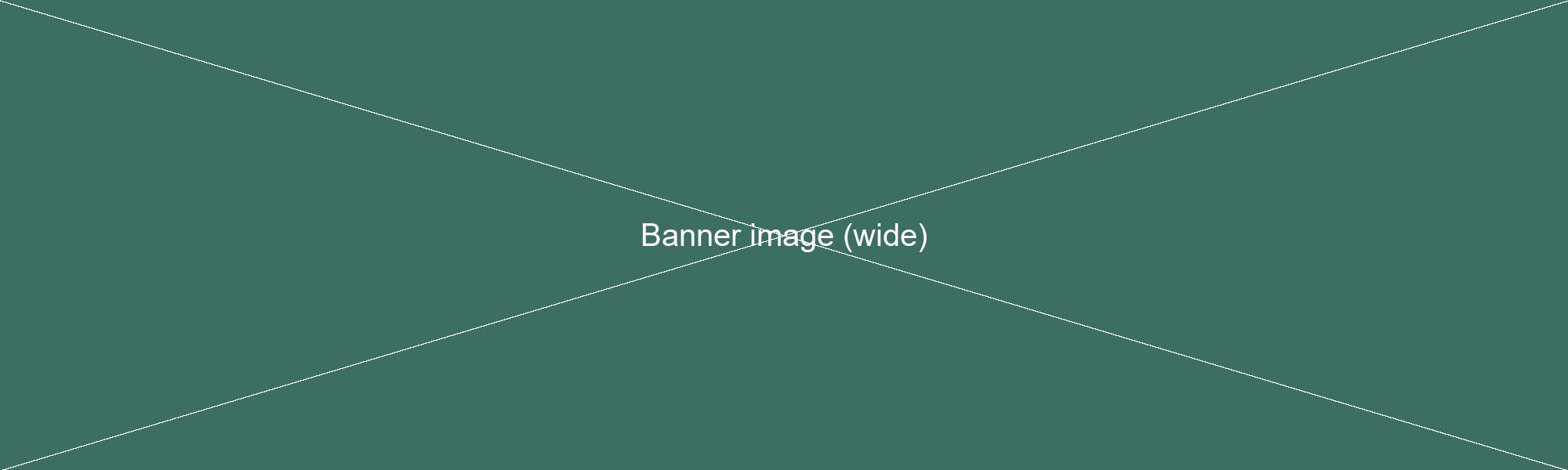 Banner image
